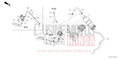CUVETTE Z125MAS de 2025